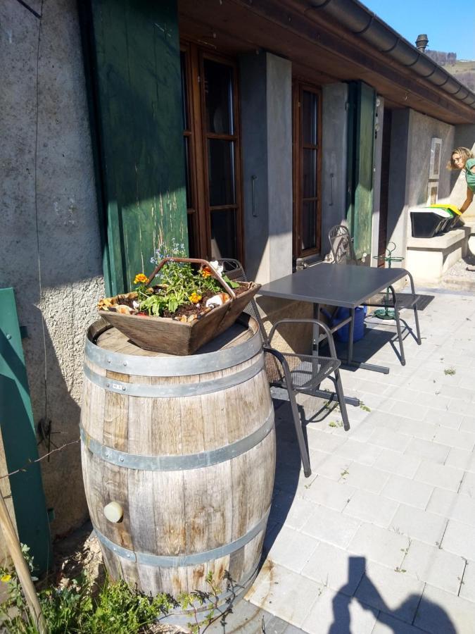 Charmante Maison Au Coeur Du Lavaux, Cully, Cuisine, Wifi, Les Echalas Экстерьер фото
